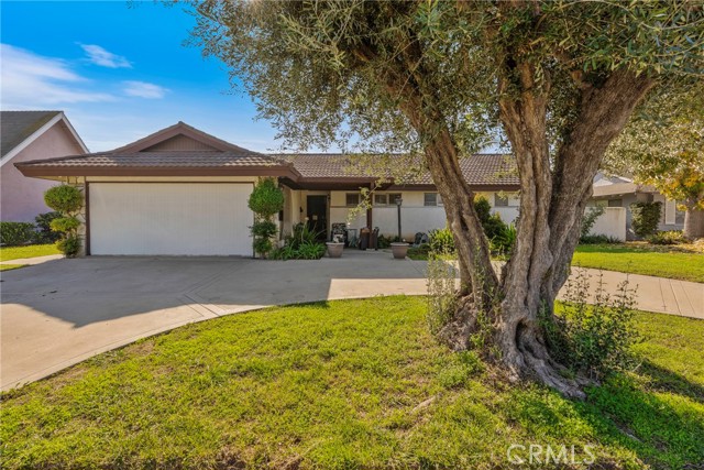 Front Image Thumbnail for CRPW25269638