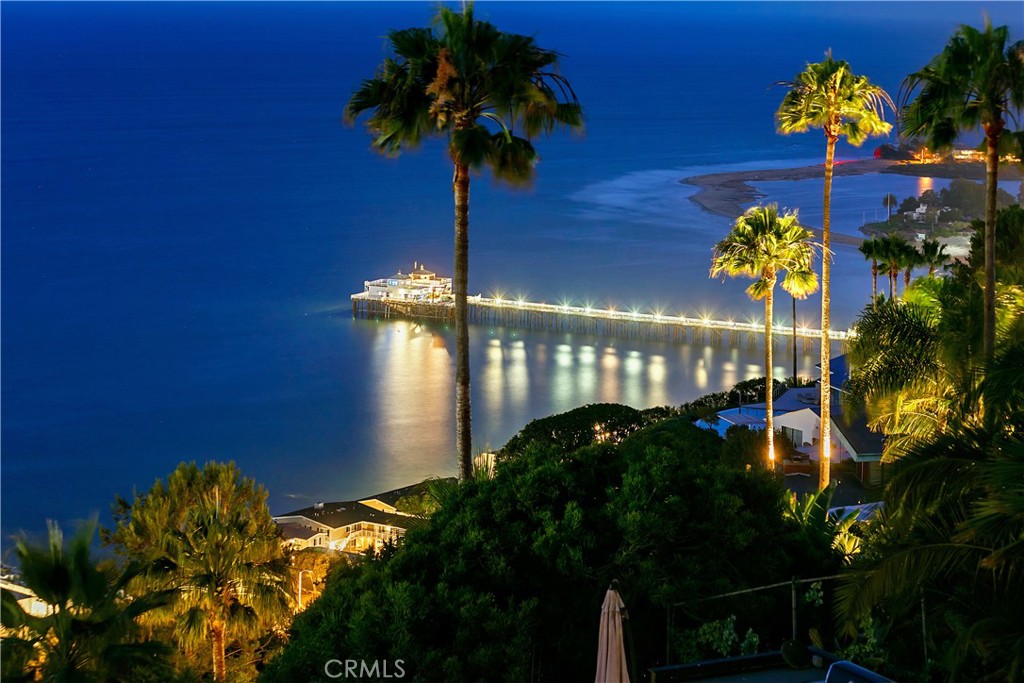 MLS #OC25275964 image #44