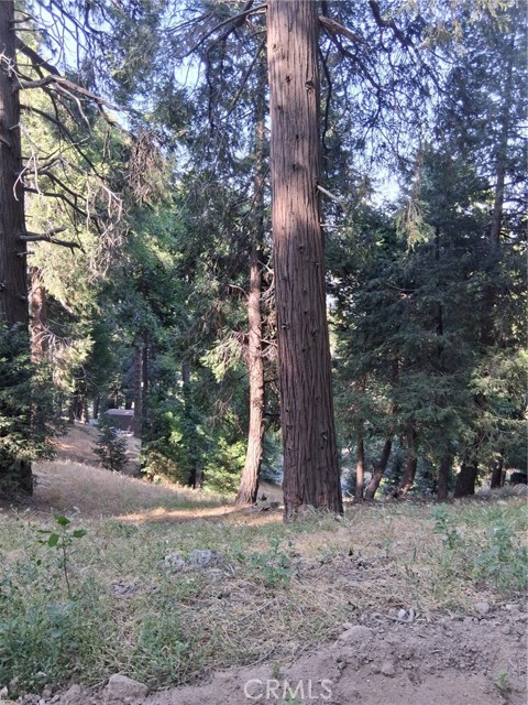 61 Evergreen Drive, Cedarpines Park CA: https://media.crmls.org/medias/15bbe7f9-2df2-4f59-b6d8-ea23d166caf4.jpg