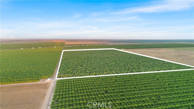 Detail Gallery Image 15 of 33 For 0 I5/Shields, Firebaugh,  CA 93622 - – Beds | – Baths