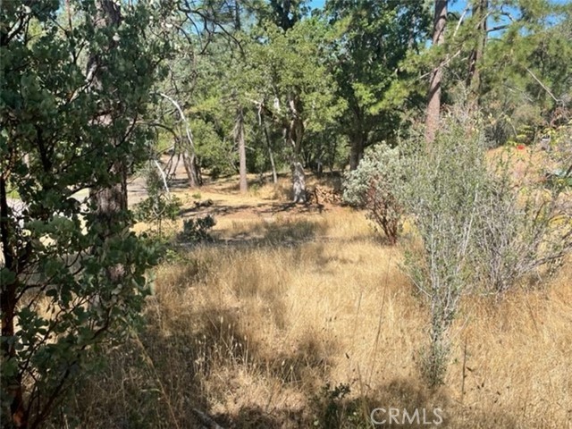 Detail Gallery Image 12 of 17 For 0 Lot 2 Peckinpah Acres Dr, North Fork,  CA 93643 - – Beds | – Baths