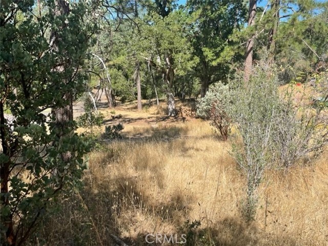 Detail Gallery Image 12 of 17 For 0 Lot 2 Peckinpah Acres Dr, North Fork,  CA 93643 - – Beds | – Baths