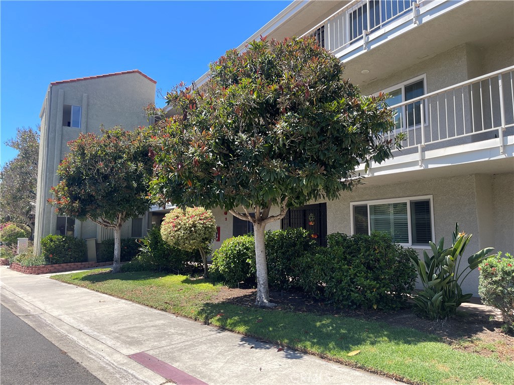 5369 Algarrobo #1G