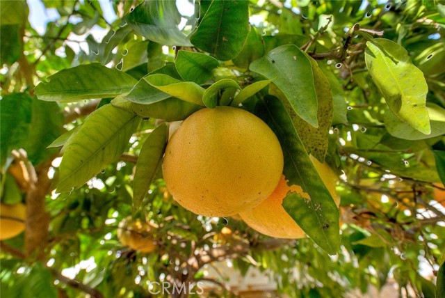 Detail Gallery Image 75 of 75 For 1850 Fairway Dr #61,  Chino Hills,  CA 91709 - 3 Beds | 2 Baths