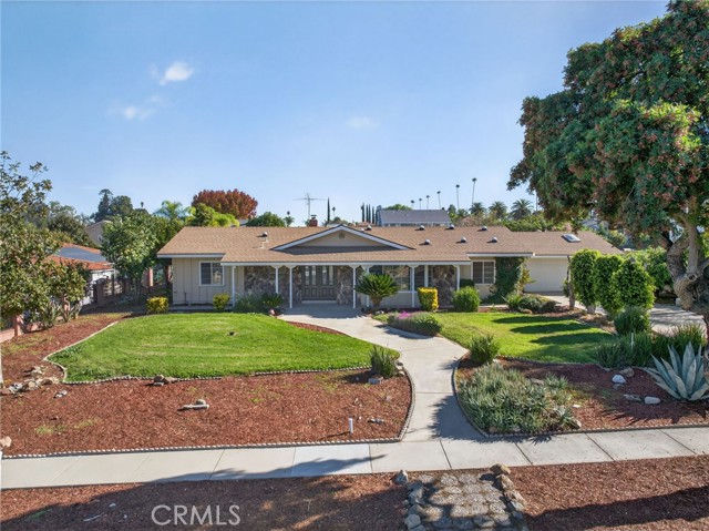 Front Image Thumbnail for CRIV25277672