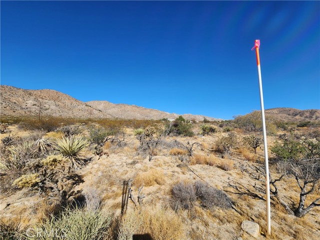 Detail Gallery Image 14 of 19 For 29 Palms Hwy, Morongo Valley,  CA 92256 - – Beds | – Baths