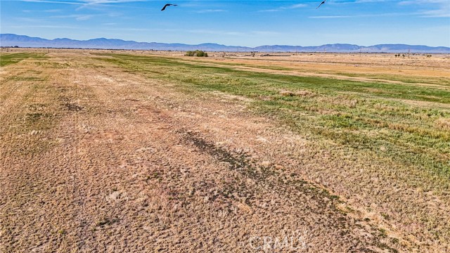 Image 25 of 30 For 9450 Avenue F