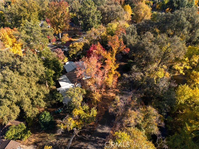 Detail Gallery Image 45 of 49 For 1326 Bidwell Ave, Chico,  CA 95926 - 3 Beds | 2 Baths