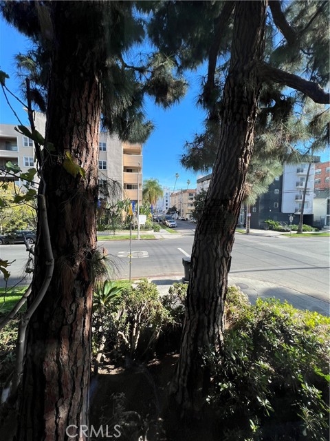 Detail Gallery Image 12 of 30 For 4255 W 5th #101,  Los Angeles,  CA 90020 - 0 Beds | 1 Baths