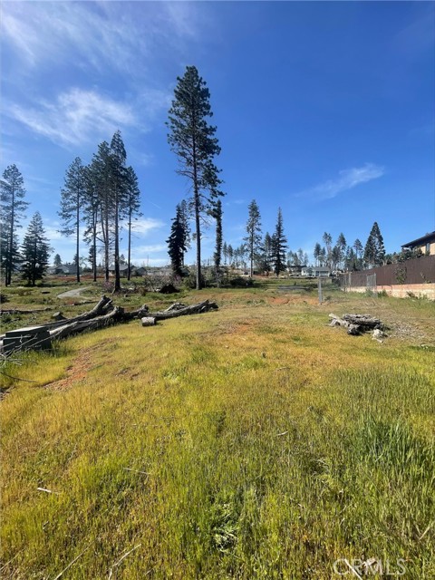 698 Brookhaven Drive, Paradise, CA, 95969 698 Brookhaven Drive, Paradise, CA, 95969