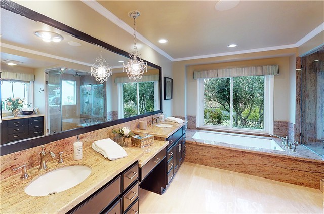 Main bathroom with double sinks, spa tub and separate shower.