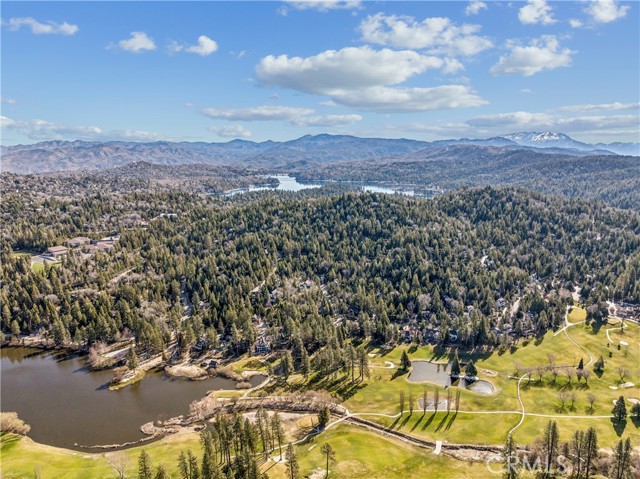 Detail Gallery Image 71 of 73 For 499 Golf Course, Lake Arrowhead,  CA 92352 - 4 Beds | 4/1 Baths