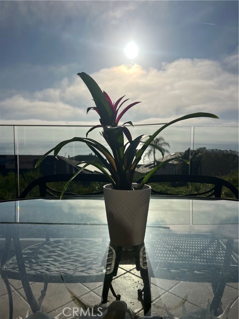 Detail Gallery Image 19 of 49 For 34 Blue Lagoon, Laguna Beach,  CA 92651 - 3 Beds | 3 Baths