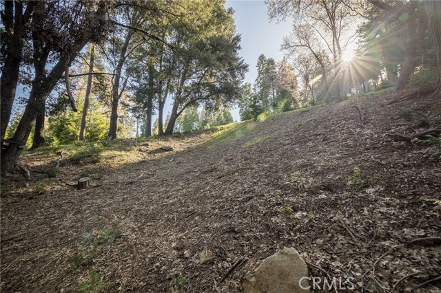 284 Hidden Forest, Lake Arrowhead, CA, 92352 284 Hidden Forest, Lake Arrowhead, CA, 92352