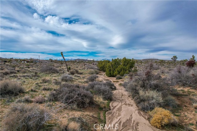 Detail Gallery Image 18 of 32 For 4824 Elata Ave, Yucca Valley,  CA 92284 - – Beds | – Baths