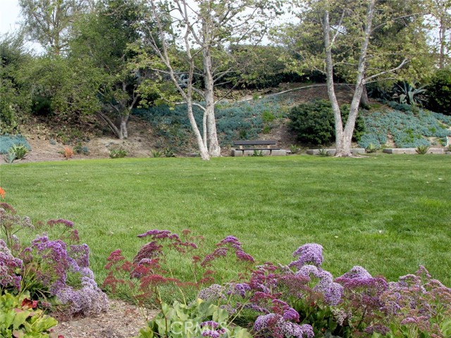 Detail Gallery Image 64 of 75 For 27281 Calle De La Rosa, San Juan Capistrano,  CA 92675 - 5 Beds | 5/1 Baths