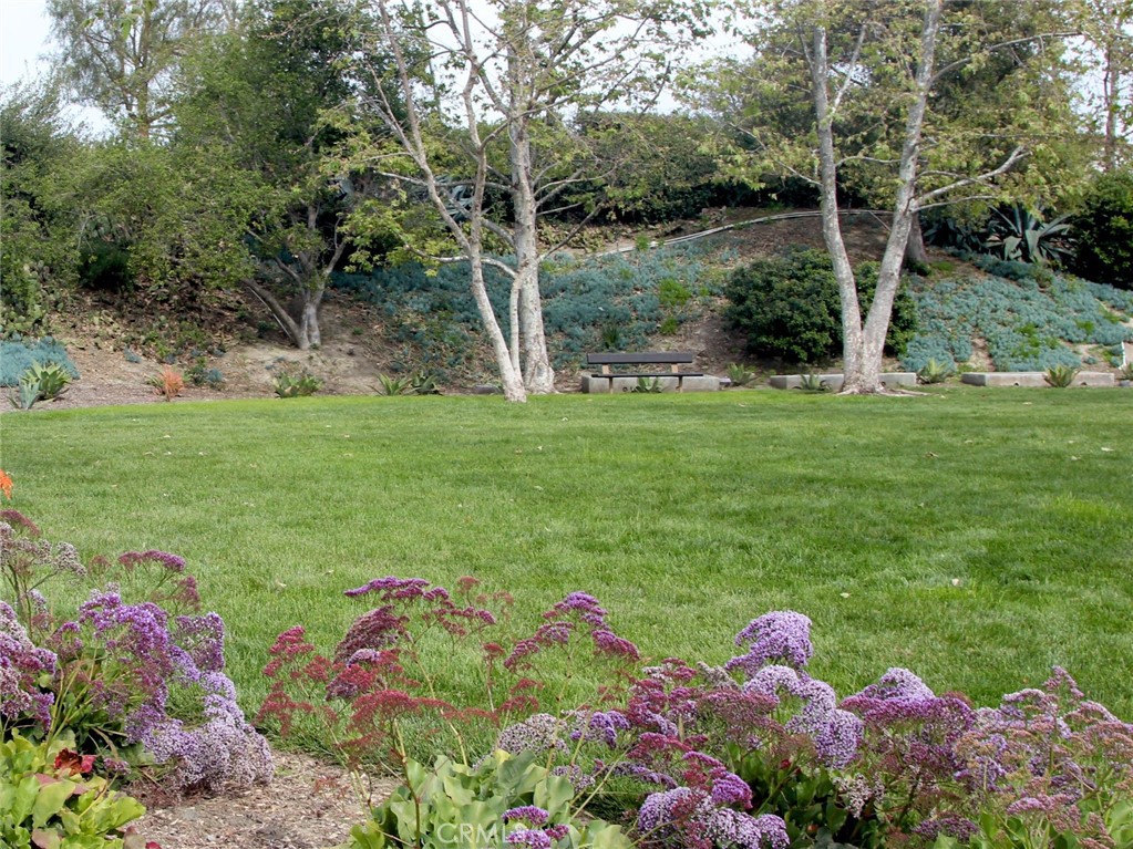 MLS #OC25244940 image #63