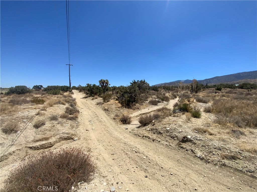 MLS #IV25154563 image #3