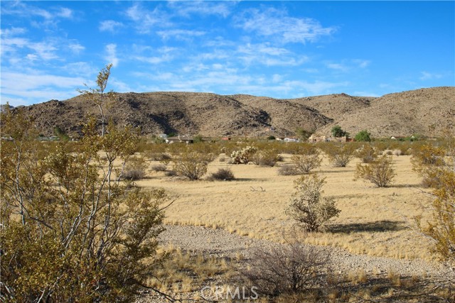 Detail Gallery Image 8 of 21 For 61769 Cowan Ln, Joshua Tree,  CA 92252 - – Beds | – Baths