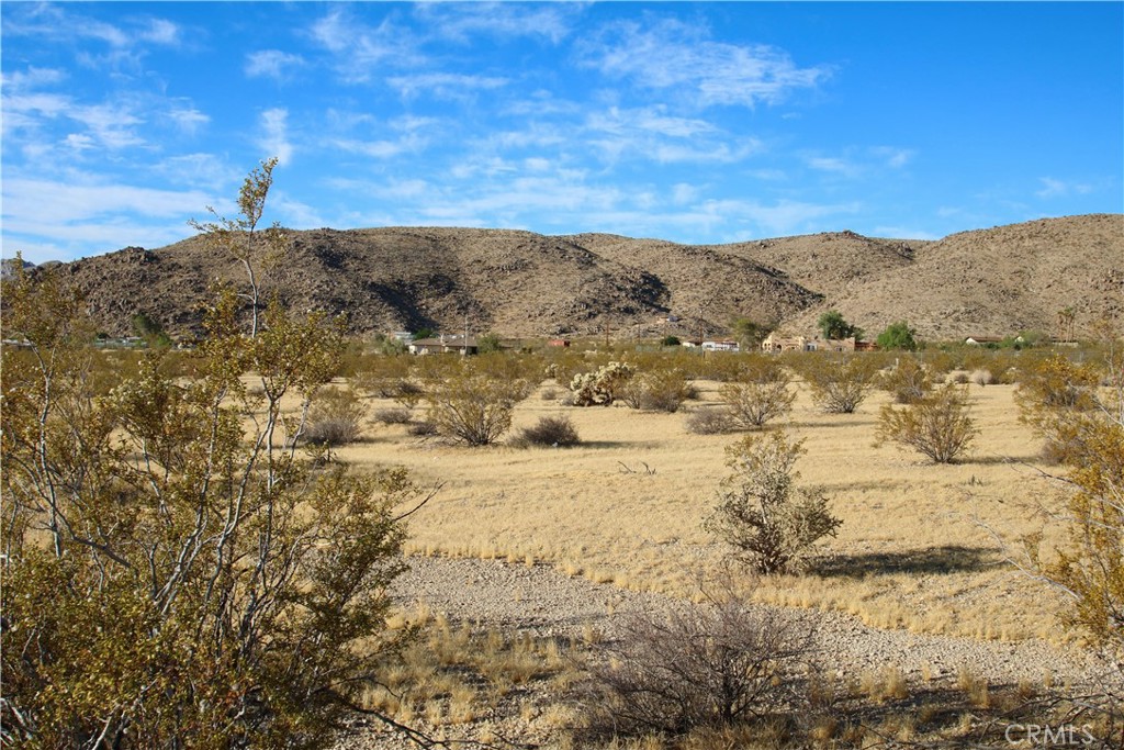 MLS #JT25246863 image #7