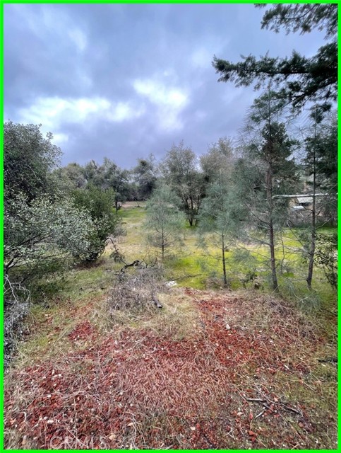 Detail Gallery Image 5 of 10 For 13672 Fair Oak Rd, Clearlake,  CA 95424 - – Beds | – Baths