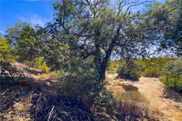 Detail Gallery Image 6 of 22 For 1 Old Stone Hill Rd, Warner Springs,  CA 92086 - – Beds | – Baths