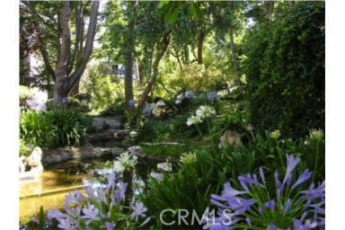 Beautiful exotic grounds