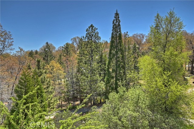 Detail Gallery Image 41 of 53 For 28193 Grenoble Ln, Lake Arrowhead,  CA 92352 - 3 Beds | 2 Baths