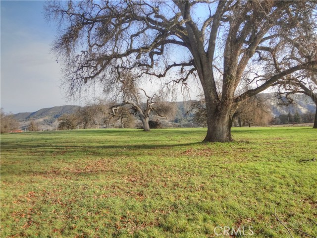 Detail Gallery Image 1 of 1 For 2175 Point Land Farms Dr, Nice,  CA 95464 - – Beds | – Baths