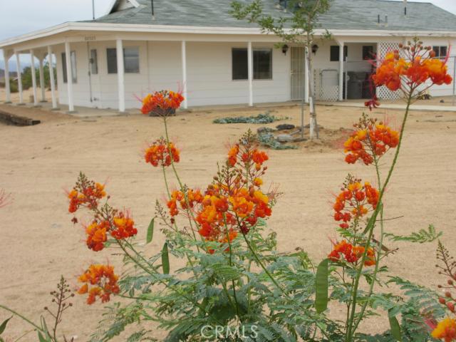 62323 Mars Drive