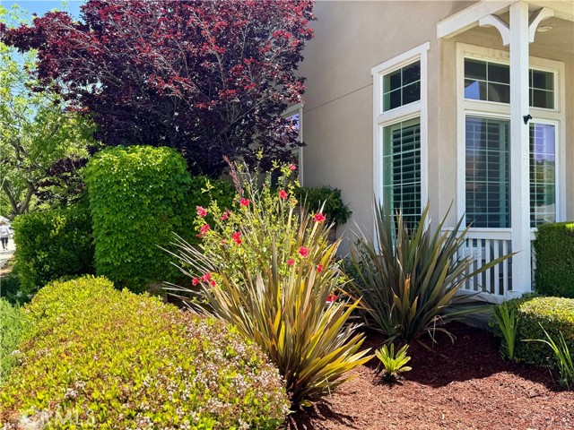 34238 Baja Court, Lake Elsinore CA: https://media.crmls.org/medias/162cb66f-c044-4c53-ab9d-54123c1886ce.jpg