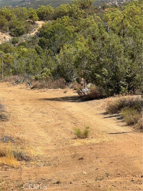 20 Comanche Trail, Anza, California 92539, ,Land,For Sale,20 Comanche Trail,CRSW22245603