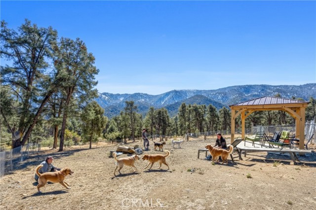 Detail Gallery Image 13 of 17 For 15113 Chestnut Dr, –,  CA 93222 - – Beds | – Baths