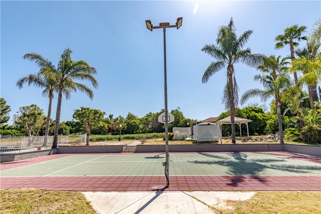 Tennis/Basketball Court