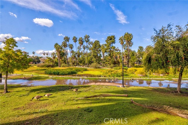 Detail Gallery Image 40 of 51 For 1616 Armitage, Los Angeles,  CA 90026 - 3 Beds | 2 Baths