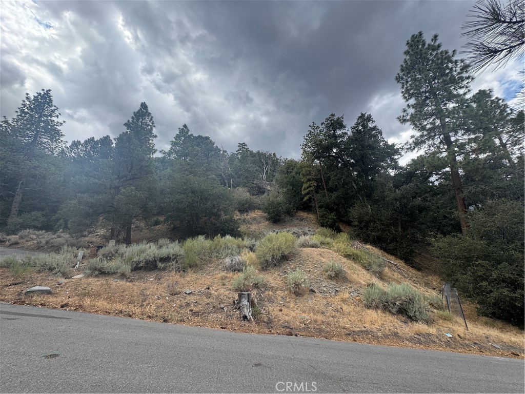 MLS #HD25155013 image #5