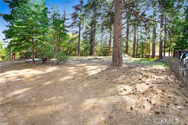 Detail Gallery Image 10 of 20 For 0 Pine Ridge Rd, Idyllwild,  CA 92548 - – Beds | – Baths