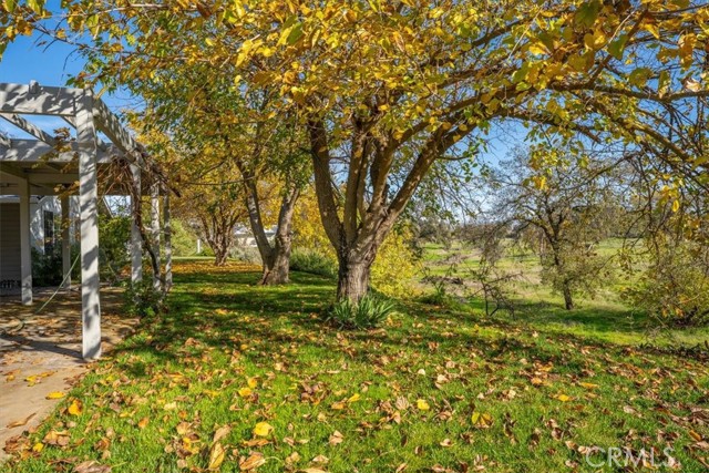 Detail Gallery Image 54 of 63 For 26325 Wilson St, Los Molinos,  CA 96055 - 2 Beds | 2/1 Baths