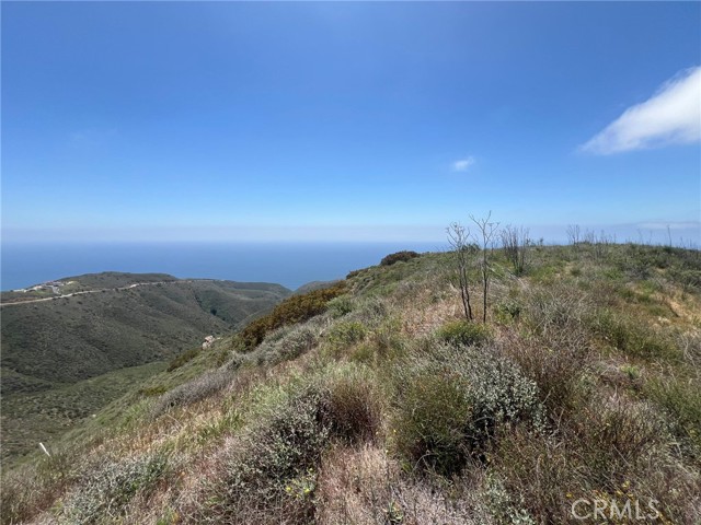 Detail Gallery Image 21 of 32 For 9533 Deer Creek Rd, Malibu,  CA 90265 - – Beds | – Baths