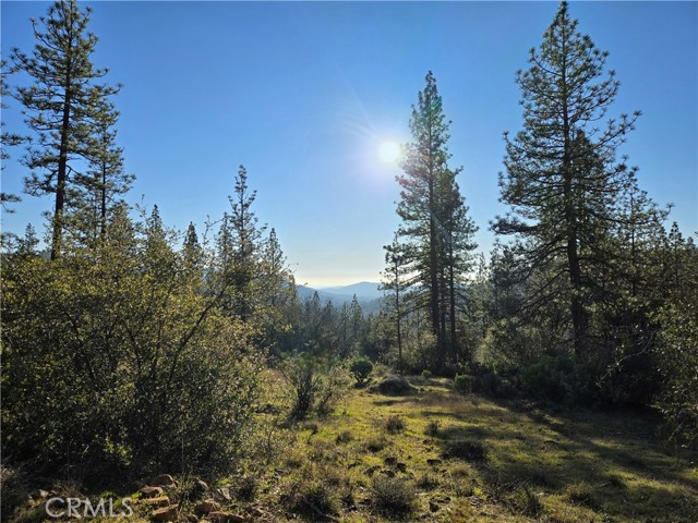 Detail Gallery Image 15 of 34 For 0 Double Eagle Way, Brownsville,  CA 95919 - – Beds | – Baths