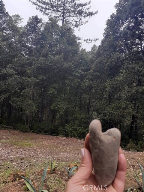 Detail Gallery Image 31 of 58 For 38160 Ocean Ridge Dr, Gualala,  CA 95445 - – Beds | – Baths