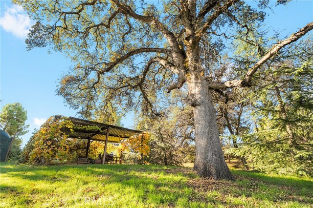 Detail Gallery Image 54 of 73 For 3690 Keefer, Chico,  CA 95973 - 4 Beds | 2/1 Baths