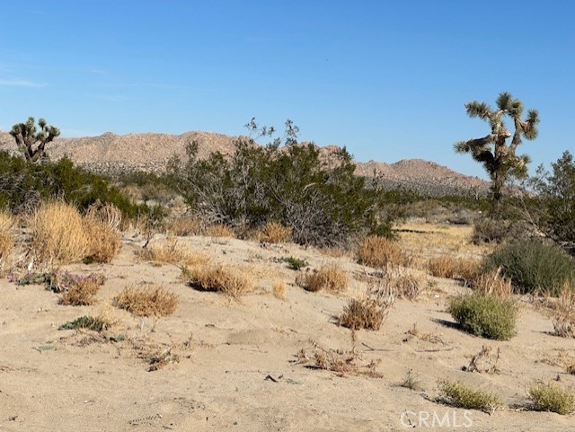 Detail Gallery Image 5 of 14 For 0 E Palmdale Bld, Palmdale,  CA 93552 - – Beds | – Baths