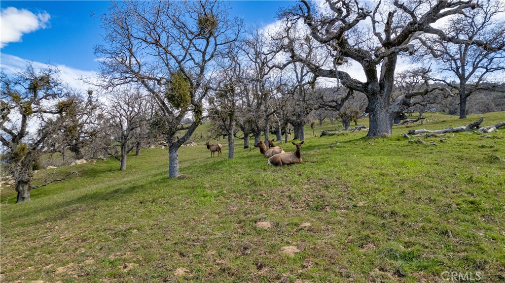 MLS #SR25148566 img 2