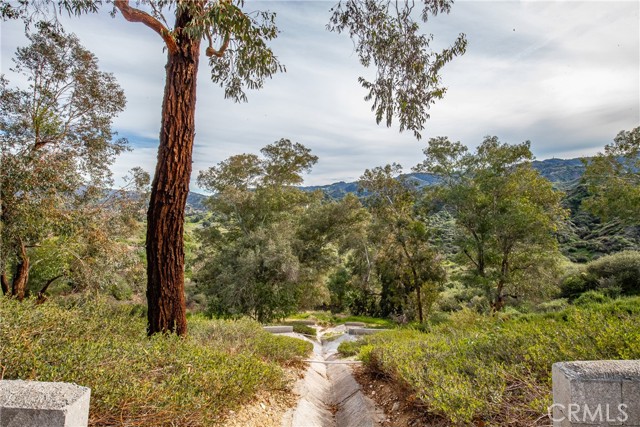 Image 15 of 31 For 24910 Chicory Court