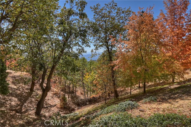 Detail Gallery Image 50 of 75 For 22 Holly Dr, Running Springs,  CA 92382 - 3 Beds | 2/1 Baths