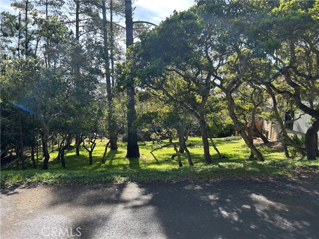 Cambria, CA 93428