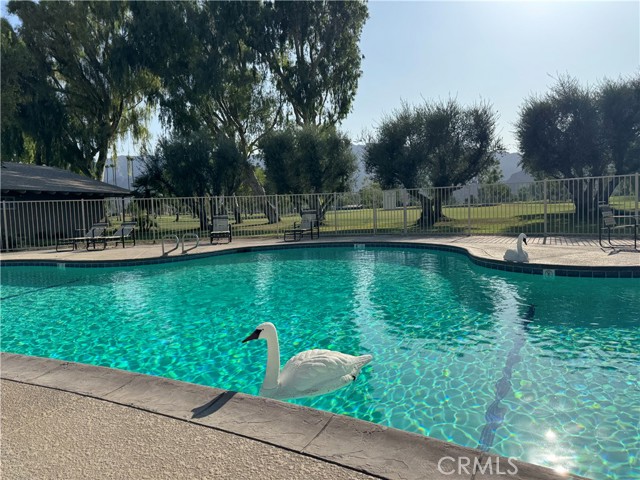 Detail Gallery Image 43 of 48 For 49171 Washington St, La Quinta,  CA 92253 - 3 Beds | 2 Baths