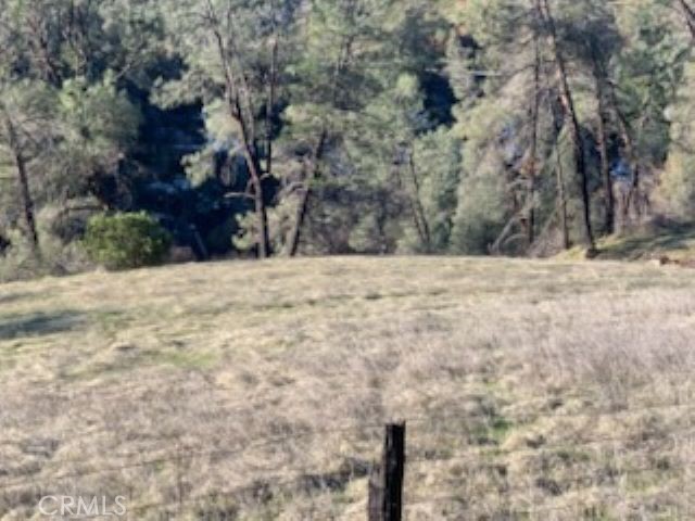 Detail Gallery Image 4 of 6 For 0 Hwy 36w, Platina,  CA 96076 - – Beds | – Baths
