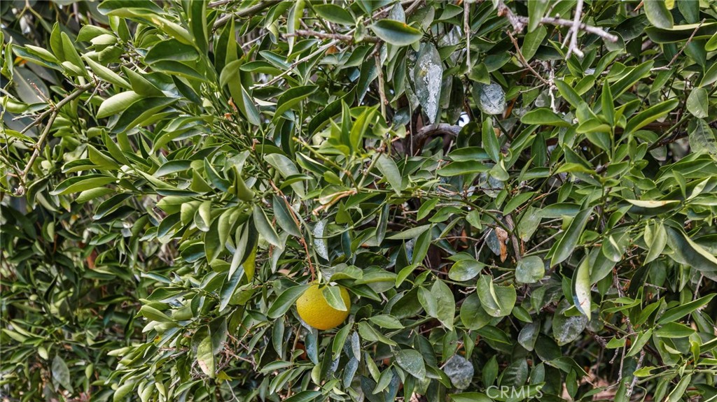 https://media.crmls.org/medias/1695b7b9-61d2-4075-80b7-d47a2e8205cd.jpg?preset=X-Large